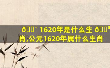 🌴 1620年是什么生 🐳 肖,公元1620年属什么生肖